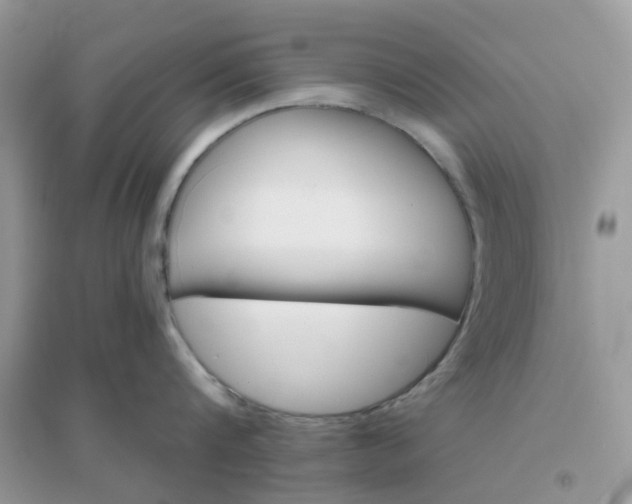 X0000096150816200802011231