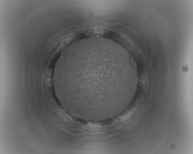 X0000096150818200802011230