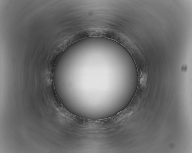 X0000096150819200802011231