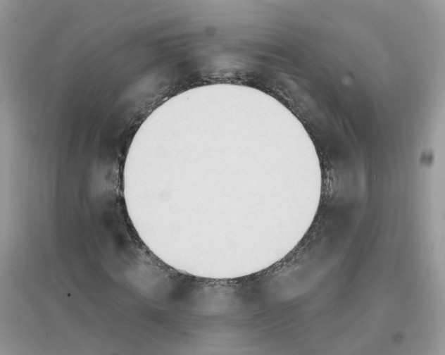 X0000096150820200802011231