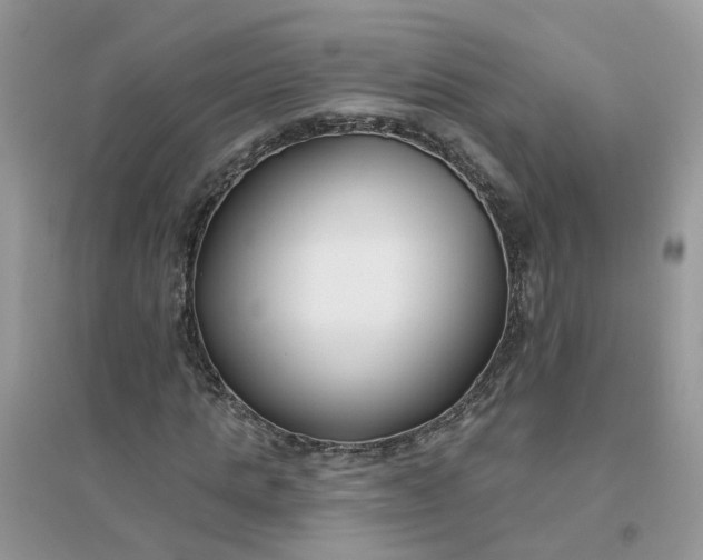 X0000096150821200802011231