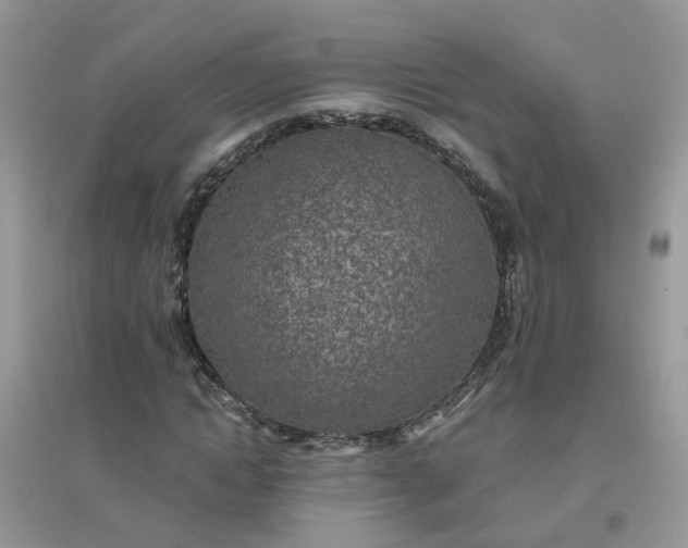 X0000096150822200802011231