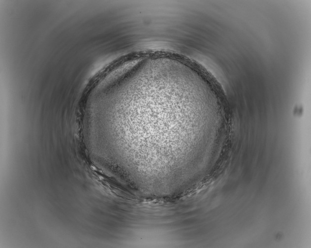 X0000096150823200802011231