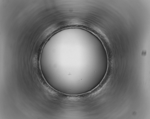 X0000096150825200802011231