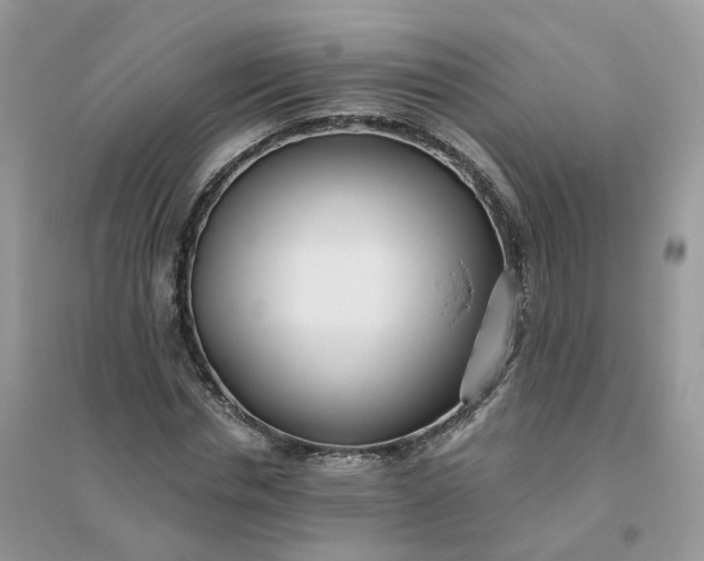 X0000096150826200802011231