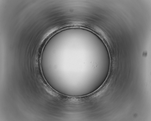 X0000096150827200802011231