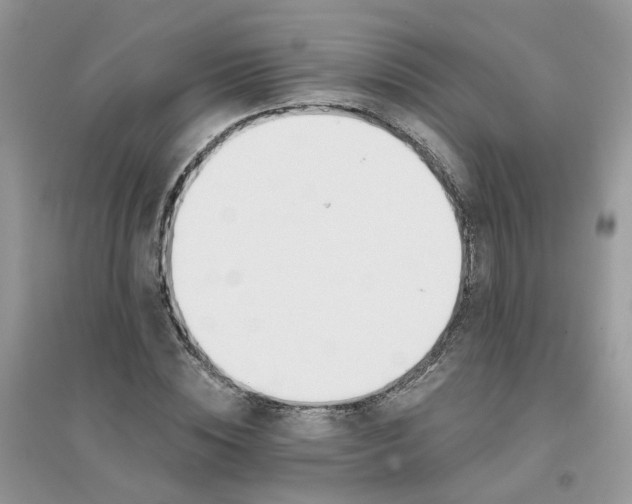 X0000096150828200802011231