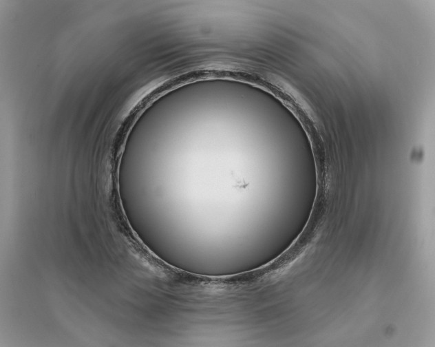 X0000096150829200802011231