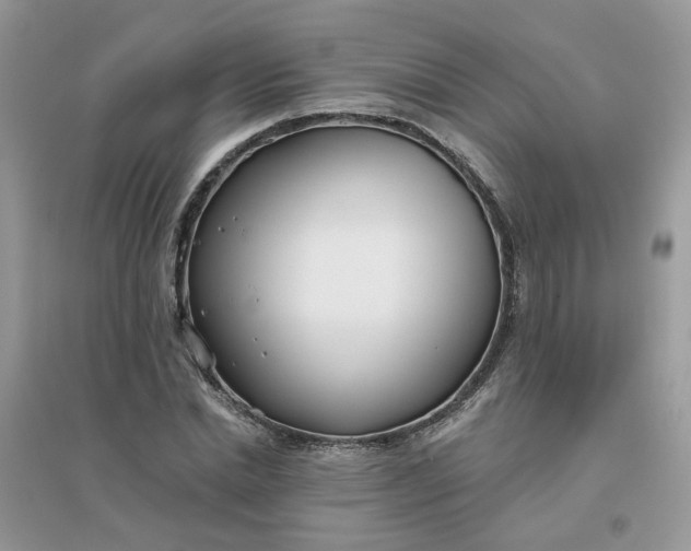 X0000096150830200802011231