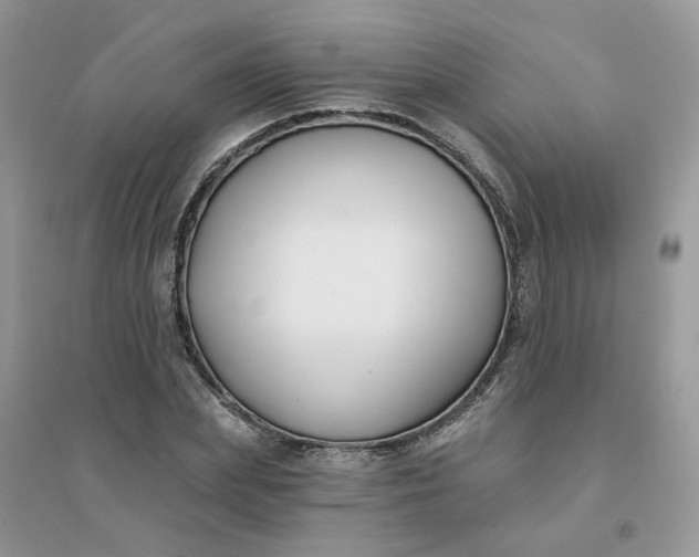 X0000096150831200802011231