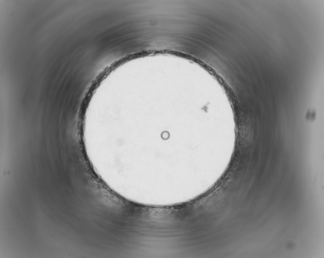 X0000096150832200802011231