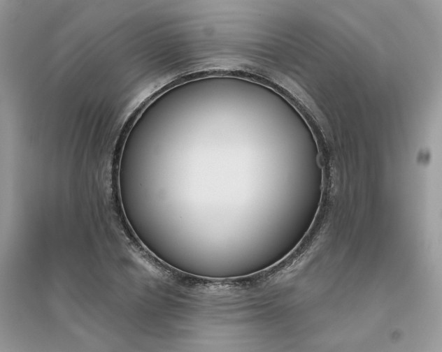 X0000096150834200802011231