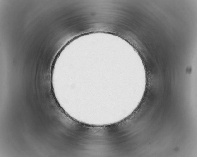 X0000096150836200802011231