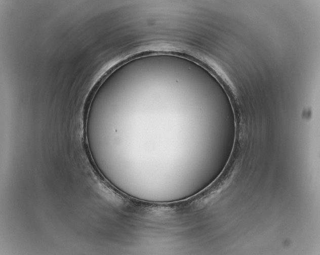 X0000096150837200802011231