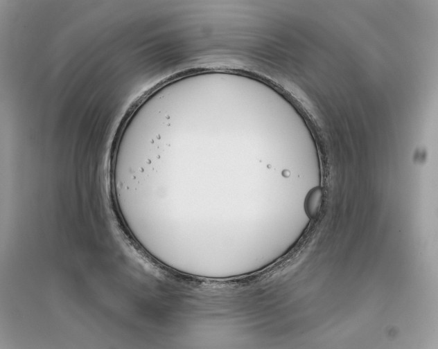 X0000096150840200802011231