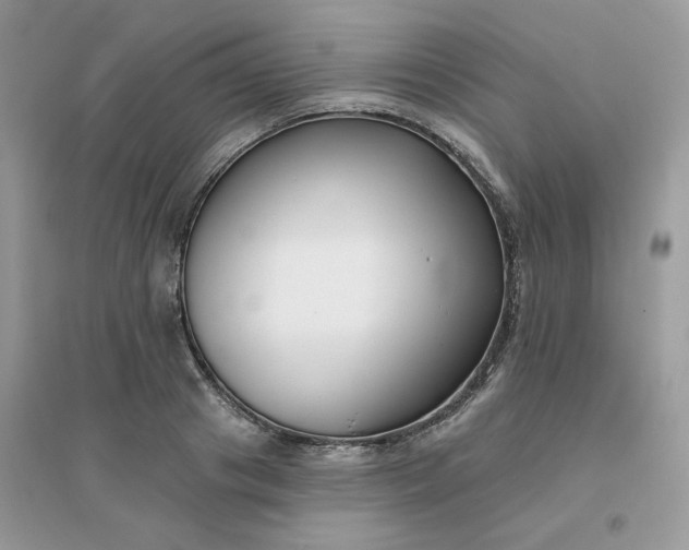 X0000096150841200802011231