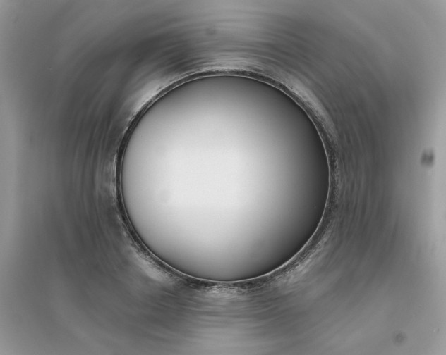 X0000096150842200802011231