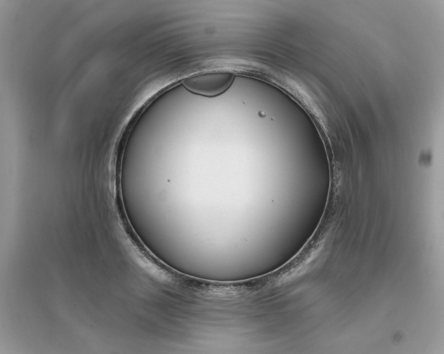 X0000096150843200802011231