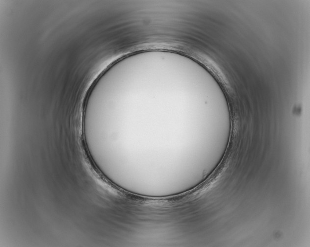 X0000096150844200802011231
