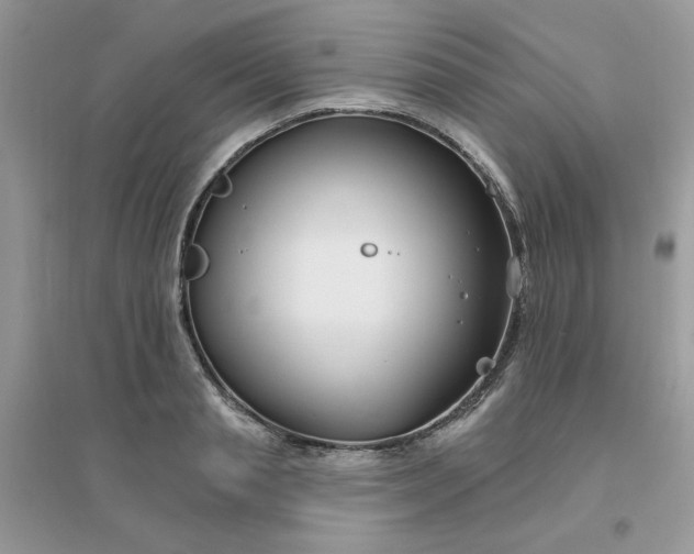 X0000096150845200802011231