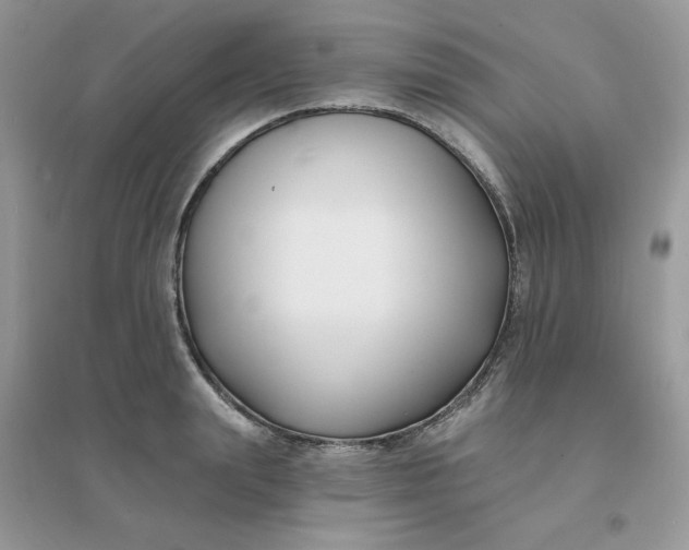 X0000096150847200802011231