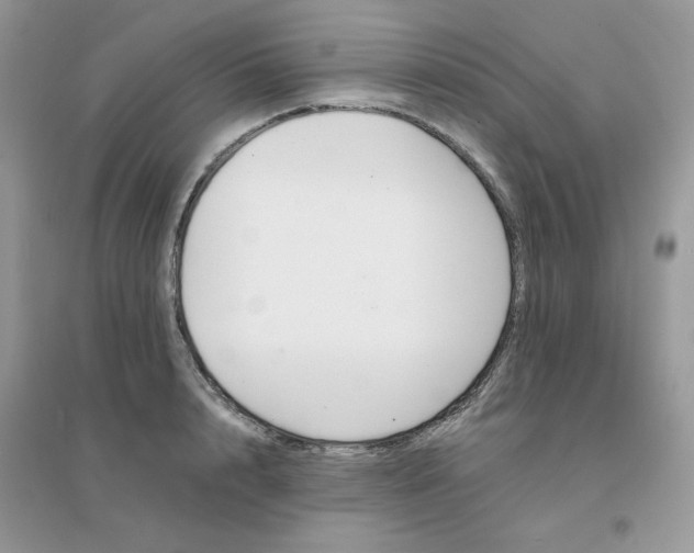 X0000096150848200802011231
