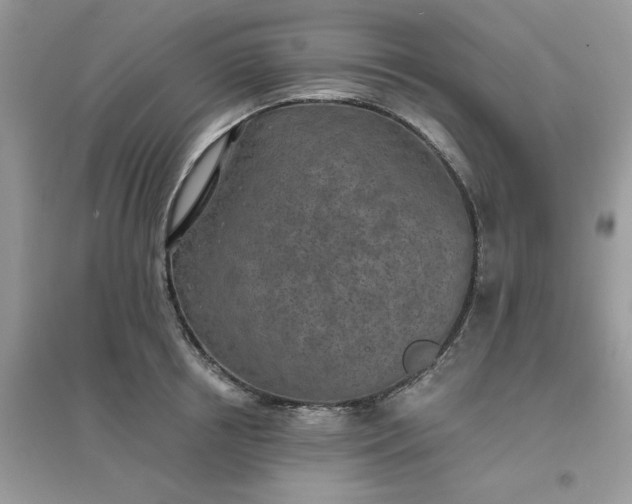 X0000096150850200802011231