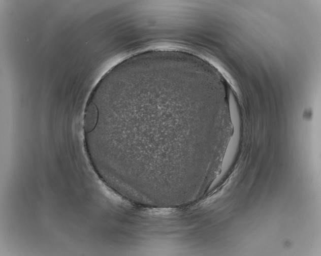 X0000096150853200802011231