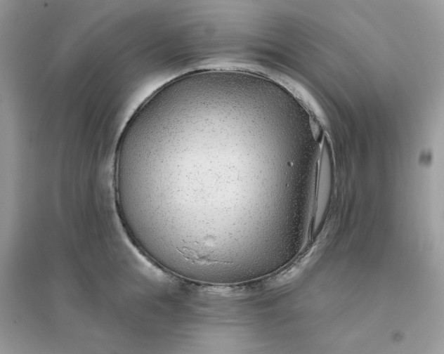 X0000096150855200802011231