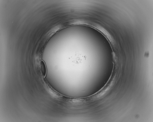 X0000096150857200802011231