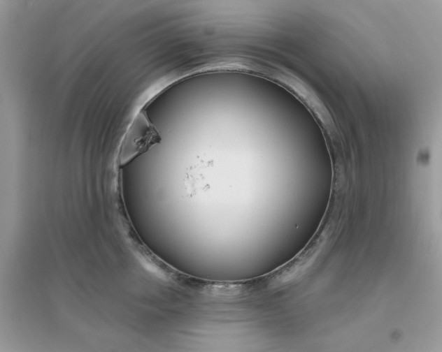 X0000096150858200802011231
