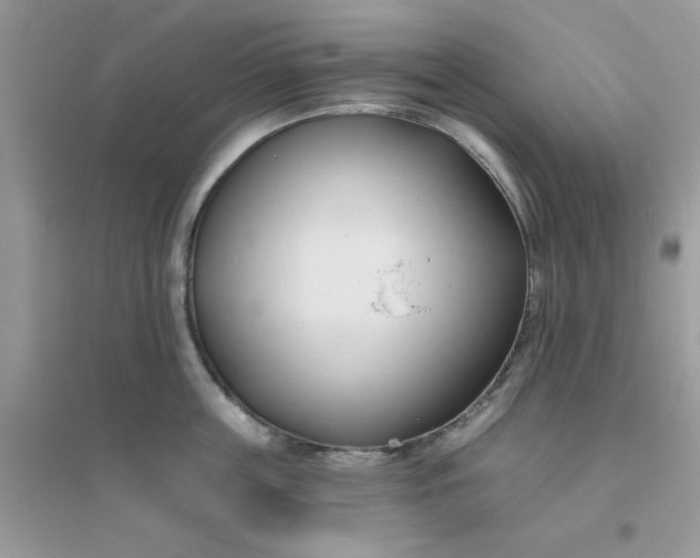 X0000096150859200802011231