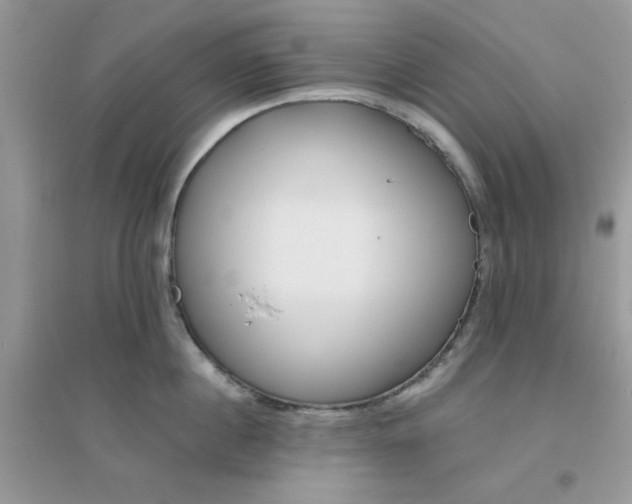 X0000096150860200802011231