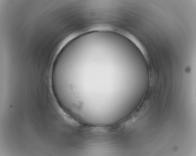 X0000096150861200802011231