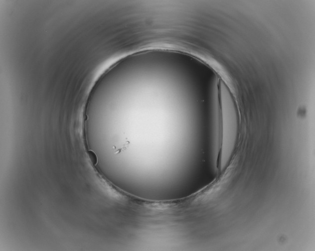 X0000096150862200802011231