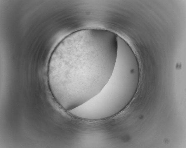 X0000096150864200802011231