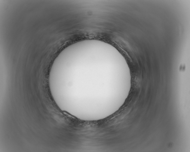 X0000096150865200802011230