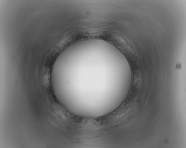 X0000096150866200802011230