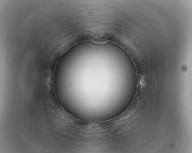 X0000096150867200802011230
