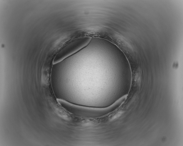 X0000096150868200802011230