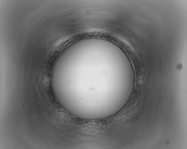 X0000096150869200802011230