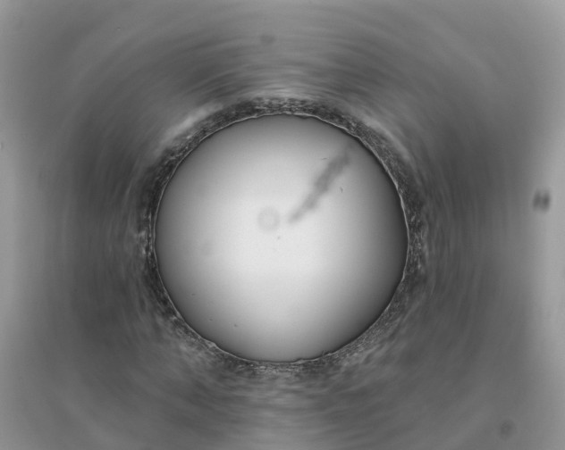 X0000096150870200802011230