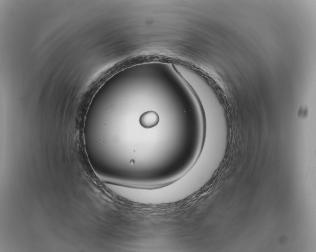 X0000096150872200802011230