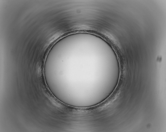 X0000096150873200802011230