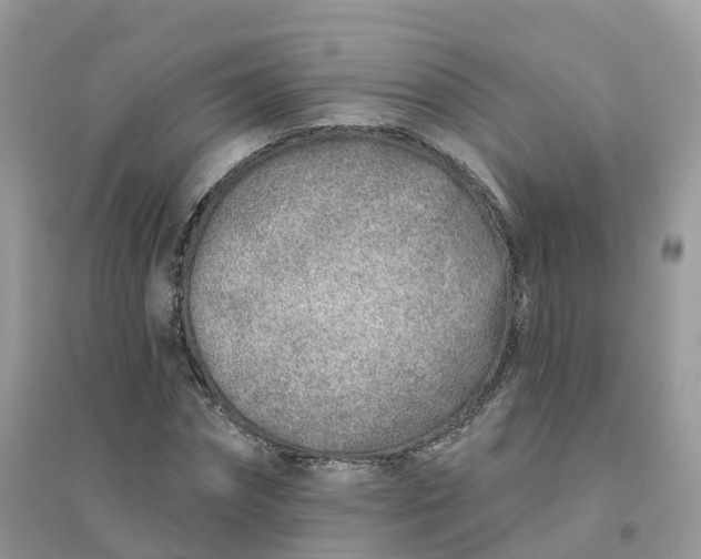 X0000096150874200802011230