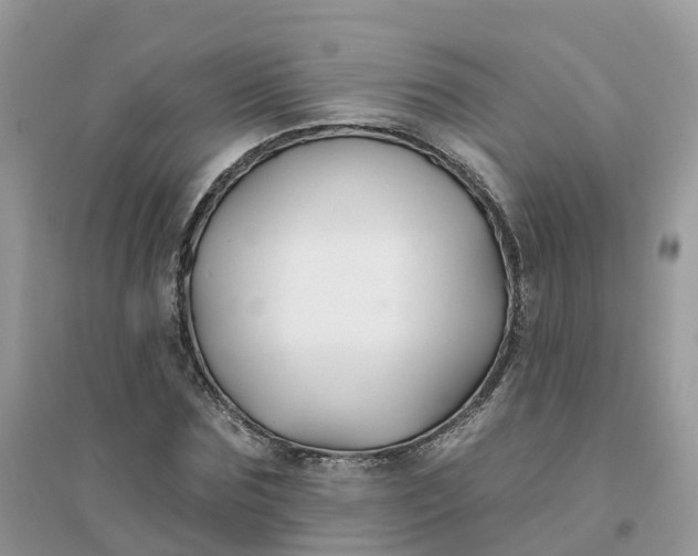 X0000096150875200802011230