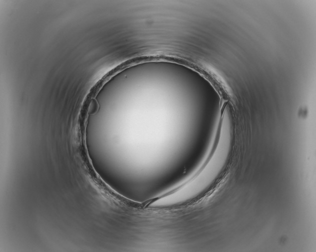 X0000096150876200802011230