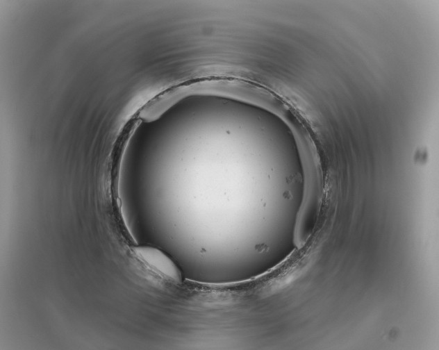 X0000096150877200802011230