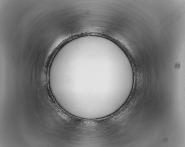 X0000096150878200802011230