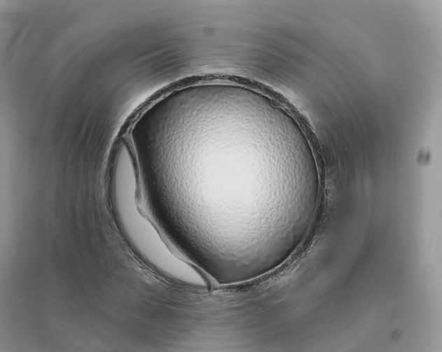 X0000096150879200802011230